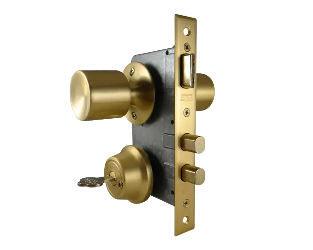 Cerradura cilindro int.libre/ext.fijo (bsl/bsf) - SCANAVINI