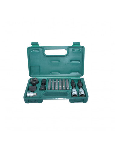 JUEGO DE DADOS MAESTRO ALTERNADOR 13 PCS AI010090.